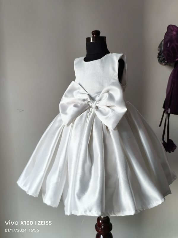 IMG_20240117_165629_Burst01